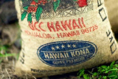 kona results|Iba pa.